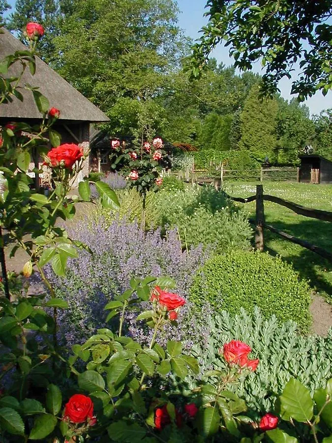 De Donkhoeve Oirschot Bed & Breakfast